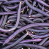 40 Royalty PURPLE POD BEAN Phaseolus Vulgaris Vegetable Seeds