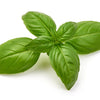 1500 SWEET BASIL Ocimum Basilicum Herb White Flower Seeds