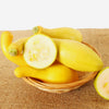 50 YELLOW CROOKNECK SQUASH Summer Cucurbita Pepo Crooked Neck Vegetable Seeds