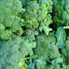 1000 WALTHAM 29 BROCCOLI Brassica Oleracea Vegetable Seeds