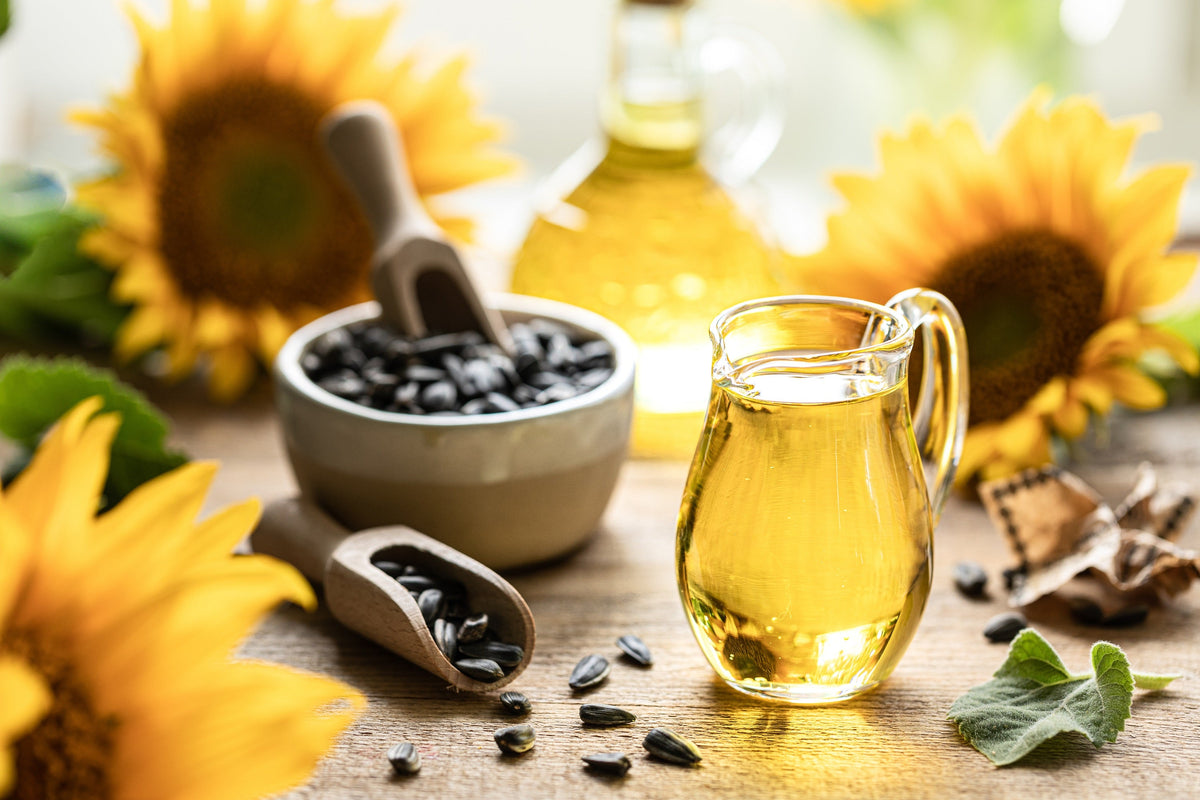 Black Oil Sunflower Seeds – Helianthus Annuus Yellow Hummingbird Bird Flower – photo 2