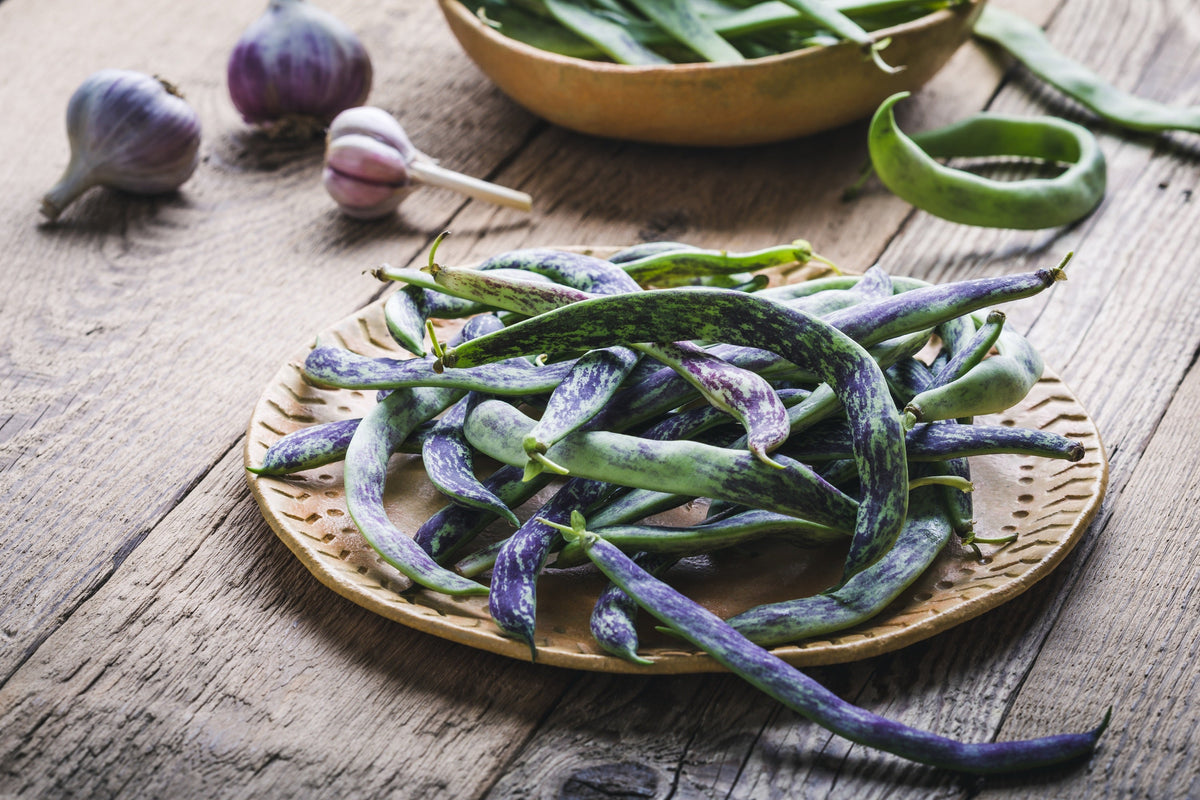 Rattlesnake Pole Bean Seeds – Stringless Purple Phaseolus Vulgaris Vegetable