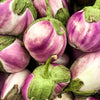 50 Organic Italian EGGPLANT ROSA BIANCA Solanum Melongena Esculentum Vegetable Seeds