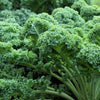 2500 VATES Blue CURLED KALE / Dwarf Blue Curled Scotch Kale Brassica Oleracea Vegetable Seeds