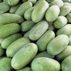 50 CHARLESTON GRAY WATERMELON Citrullus Lanatus Red Fruit Melon Seeds