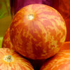 15 TIGGER / TIGER MELON Edible Muskmelon & Ornamental Vine Cucumis Melo Seeds