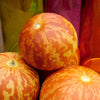 15 TIGGER / TIGER MELON Edible Muskmelon & Ornamental Vine Cucumis Melo Seeds