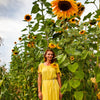 Early Mammoth Russian Sunflower Seeds – Helianthus Annuus Flower
