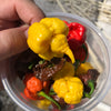 10 Yellow CAROLINA REAPER PEPPER World's Hottest Capsicum Chinense Hot Chili Vegetable Seeds
