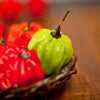 Red Jamaican Hot Pepper Seeds – Capsicum Chinense Scotch Bonnet Vegetable – photo 6