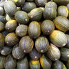 50 PIEL de SAPO MELON Santa Claus Christmas Melon Green Yellow Cucumis Melo Fruit Seeds
