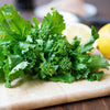 1000 EARLY Fall RAPINI BROCCOLI (Broccoli Raab / Broccoli Rabe / Brocoletti / Cima di Rapa) Brassica Ruvo Vegetable Seeds