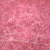 40 PINK MUHLY GRASS Cotton Candy Grass Muhlenbergia Capillaris Native Seeds