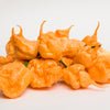 10 Peach CAROLINA REAPER PEPPER World's Hottest Capsicum Chinense Hot Chili Vegetable Seeds