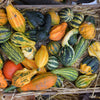 30 MIXED GOURD Lagenaria Siceraria Seeds