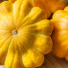 10 Golden YELLOW Bush SCALLOP SQUASH (Patty Pan / Paty Pan / Squanter Squash) Summer Cucurbita Pepo Vegetable Seeds