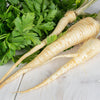 1000 HAMBURG ROOTED PARSLEY Petroselinum Crispum Tuberosum Root Vegetable Seeds