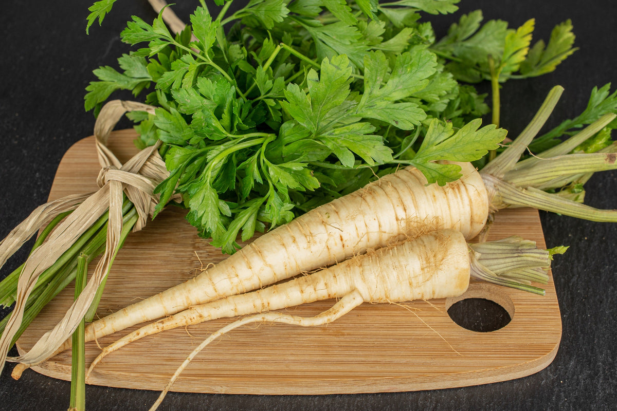 Hamburg Rooted Parsley Seeds – Petroselinum Crispum Tuberosum Root Vegetable