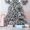 Grow Your Own CHRISTMAS TREE - Colorado Blue Spruce ( Picea Pungens Glauca ) Gift Packet of Tree Seeds