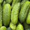 150 BOSTON PICKLING CUCUMBER Heirloom Cucumis Sativus Fruit Vegetable Seeds