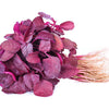500 MIDNIGHT RED AMARANTHUS Cruentus Amaranth Flower Leaf Vegetable Seeds