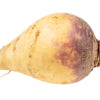 3000 LAURENTIAN RUTABAGA Brassica Napus Vegetable Seeds