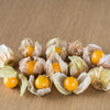 200 Organic GROUND CHERRY Physalis Pruinosa ( Golden Strawberry / Chinese Lantern ) Vegetable Seeds