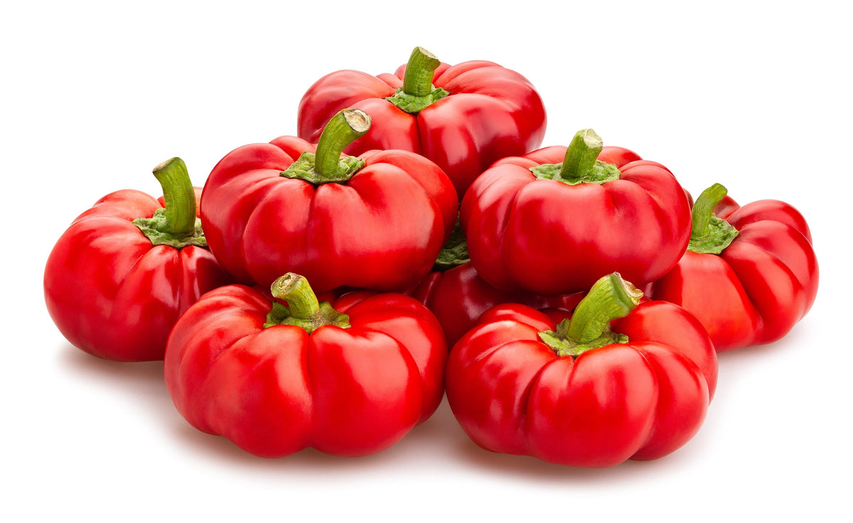 Organic Sheepnose Pimento Pepper Seeds – Sweet Red Pimiento Cheese Capsicum Annuum – photo 2