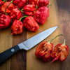 10 Red CAROLINA REAPER PEPPER World's Hottest Capsicum Chinense Hot Chili Vegetable Seeds