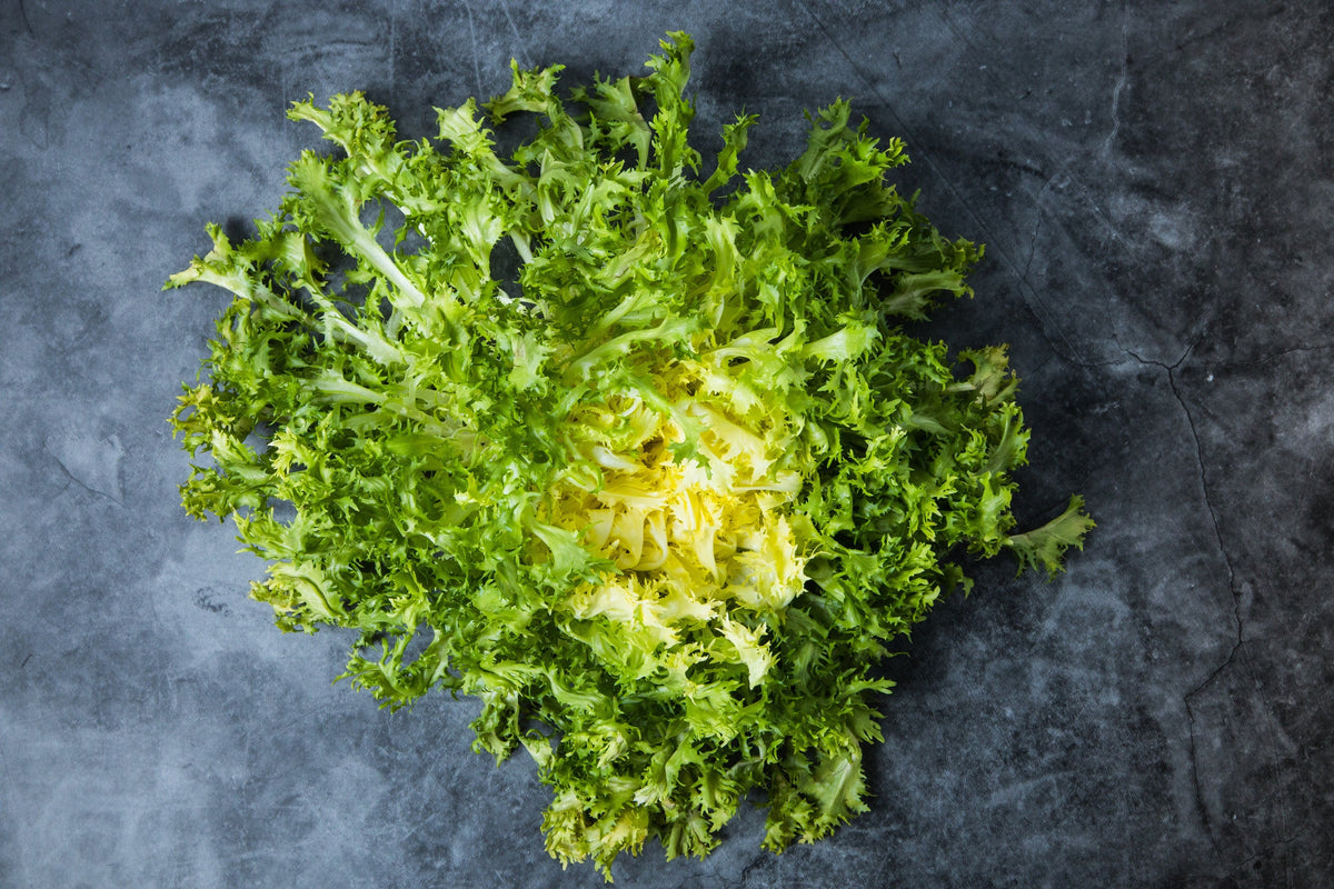 Green Curled Endive Seeds – (Salad Endive / Moss Curled Endive / Escarole) Cichorium Endivia Vegetable – photo 5