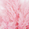 200 Ornamental PINK PAMPAS GRASS Cortaderia Selloana Rosea Seeds