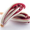 100 RADICCHIO DI TREVISO Radicchio Rose Vegetable Seeds