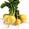 1000 GOLDEN BALL TURNIP Heirloom Yellow Brassica Rapa Root Vegetable Seeds