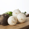 Hailstone White Globe Radish Seeds – Raphanus Sativus Vegetable – photo 3