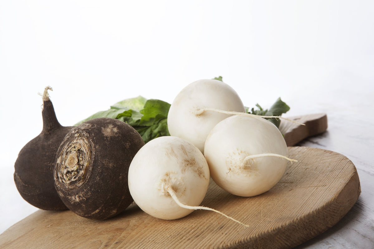 Hailstone White Globe Radish Seeds – Raphanus Sativus Vegetable – photo 3