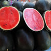 Sugar Baby Watermelon Seeds – Citrullus lanatus Fruit Melon – photo 3