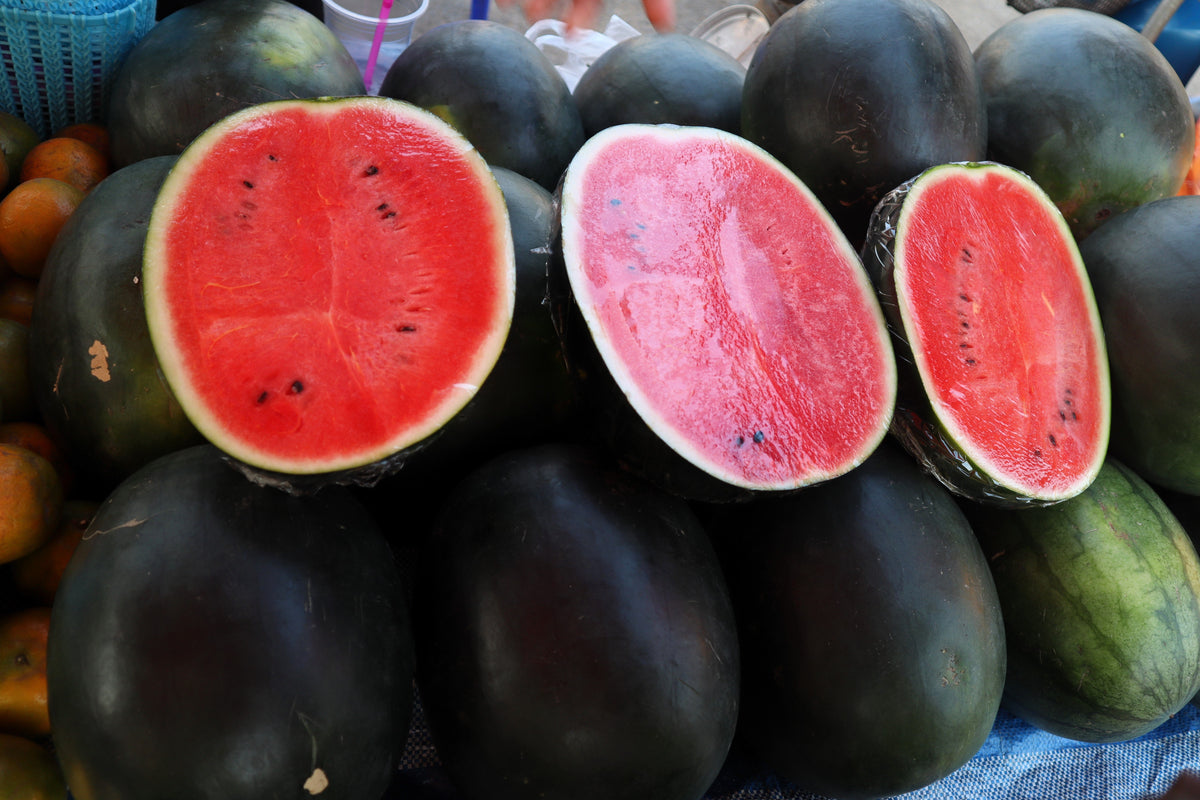 Sugar Baby Watermelon Seeds – Citrullus lanatus Fruit Melon – photo 3