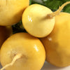 1000 GOLDEN BALL TURNIP Heirloom Yellow Brassica Rapa Root Vegetable Seeds