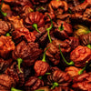 10 Chocolate CAROLINA REAPER PEPPER World's Hottest Capsicum Chinense Hot Brown Chili Vegetable Seeds