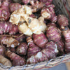 20 JERUSALEM ARTICHOKE Sunchoke Sunroot Helianthus Tuberosus Yellow Sunflower Root Vegetable Seeds