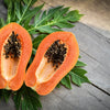 30 PAPAYA MELON Fruit TREE Carica Papaya Seeds