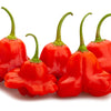 50 Ubatuba CAMBUCI PEPPER Red Brazilian Capsicum Baccatum Vegetable Seeds