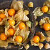 Pineapple Tomatillo Seeds – Yellow Ground Cherry Physalis Ixocarpa Fruit Vine