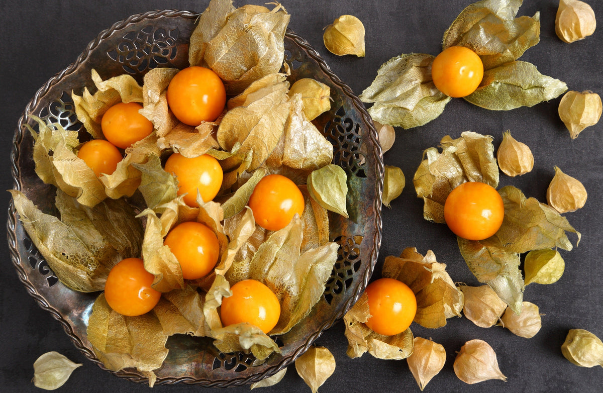 Pineapple Tomatillo Seeds – Yellow Ground Cherry Physalis Ixocarpa Fruit Vine