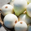 250 ECLIPSE ONION White Sweet Allium Cepa Vegetable Seeds