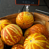 15 TIGGER / TIGER MELON Edible Muskmelon & Ornamental Vine Cucumis Melo Seeds