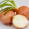 500 Sweet YELLOW SPANISH ONION Allium Cepa Vegetable Seeds