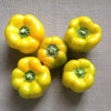 50 YELLOW Cheese PIMENTO PEPPER Capsicum Annuum Vegetable Seeds