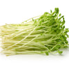 Super Sugar Snap Pea Seeds – Pisum Sativum Macrocarpon Vegetable – photo 7