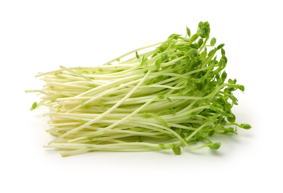 Super Sugar Snap Pea Seeds – Pisum Sativum Macrocarpon Vegetable – photo 7